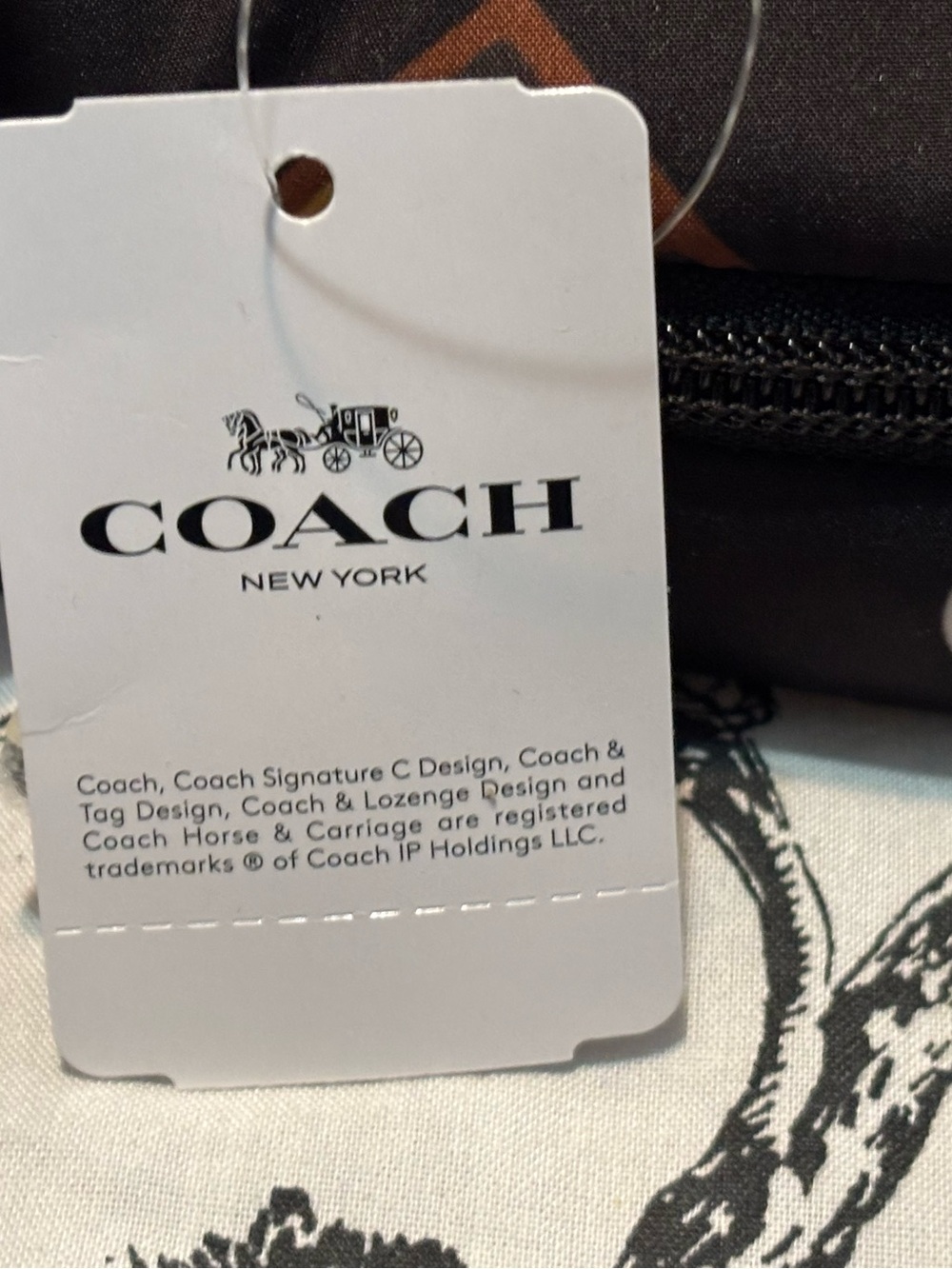 Coach - Picture 4 of 5